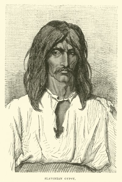 Gitan de Slavonie - English School