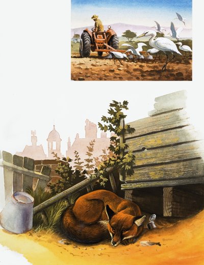Renard endormi - English School