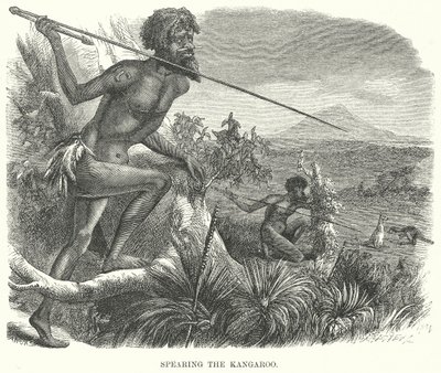 La chasse au kangourou (gravure) - English School