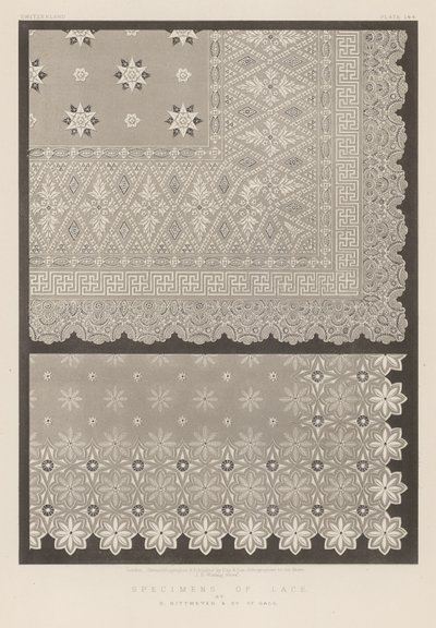 Échantillons de dentelle - English School