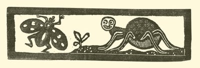 Araignée et mouche - English School