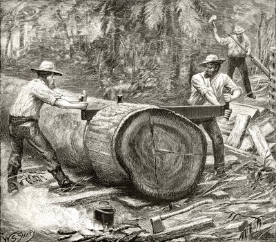 Bûcherons dans le Bush, c.1880, de 