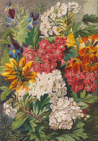 Fleurs de printemps (lithographie couleur) - English School