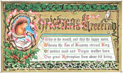 Écureuil assis sur une branche, Carte de Noël - English School