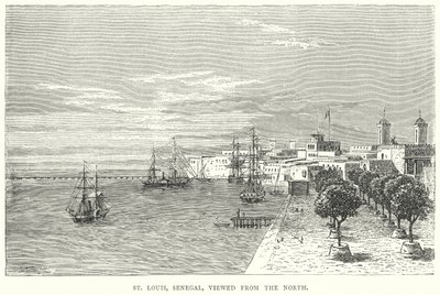 St Louis, Sénégal, vu du nord (gravure) - English School