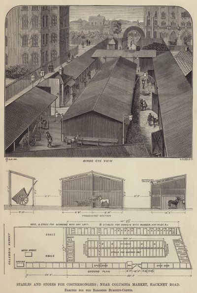 Écuries et magasins pour les costermongers, près du Columbia Market, Hackney Road, érigés pour la baronne Burdett-Coutts (gravure) - English School