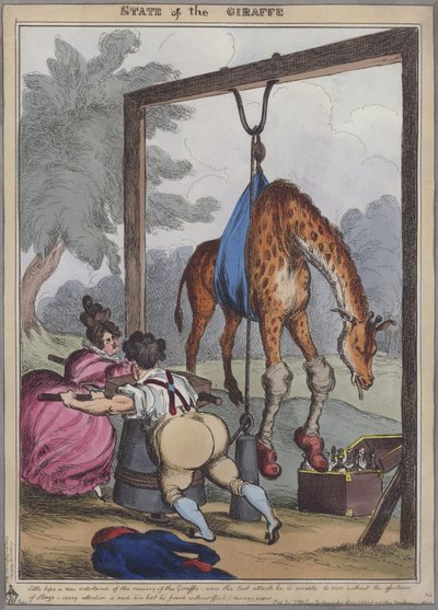 État de la girafe - English School