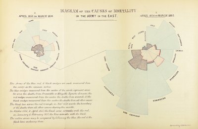 Graphique statistique inventé par Florence Nightingale pour montrer la prédominance des maladies comme cause de mortalité dans l