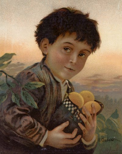 Fruit volé - English School
