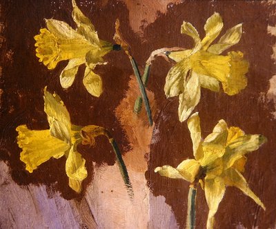 Étude de jonquilles, vers 1830 - English School