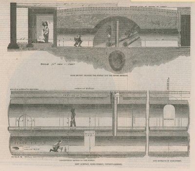 Sections de métro - English School