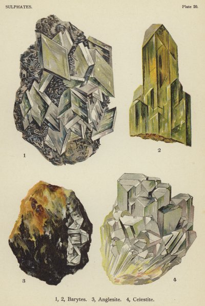 Sulfates, barytine, anglesite, célestine (lithographie en couleur) - English School