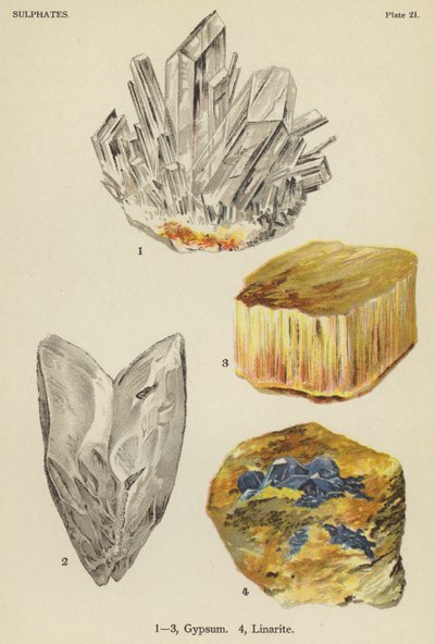 Sulfates, gypse, linarite (lithographie en couleur) - English School