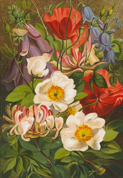 Fleurs d