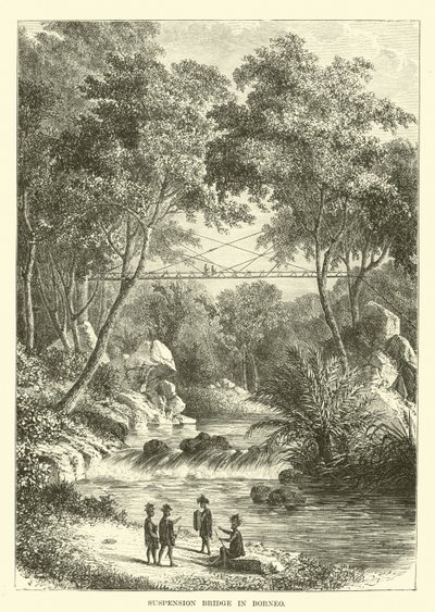 Pont suspendu à Bornéo - English School