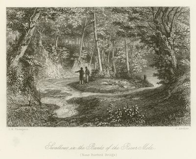 Hirondelles sur les rives de la rivière Mole, près du pont de Burford - English School