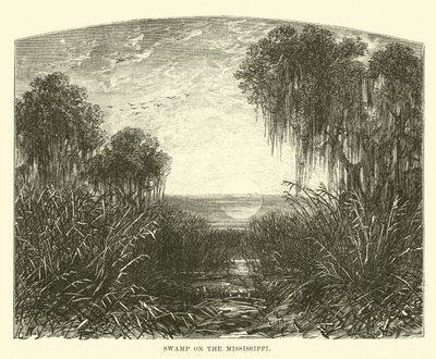 Marais sur le Mississippi - English School