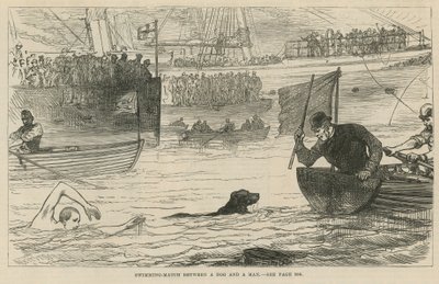 Course de natation entre un chien et un homme - English School