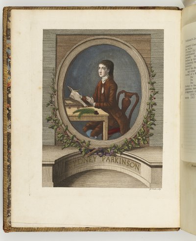 Sydney Parkinson, illustration de 