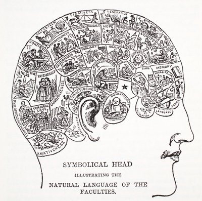 Tête symbolique montrant le langage naturel des facultés - English School