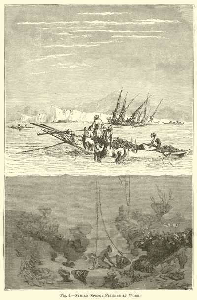 Pêcheurs d