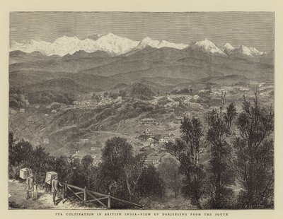 Culture du thé en Inde britannique, vue de Darjeeling depuis le sud - English School