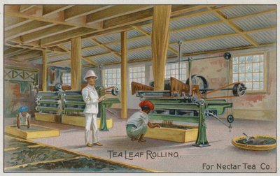 Roulement des feuilles de thé, pour Nectar Tea Co, carte commerciale - English School