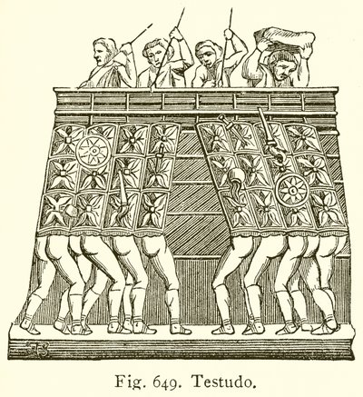 Testudo - English School