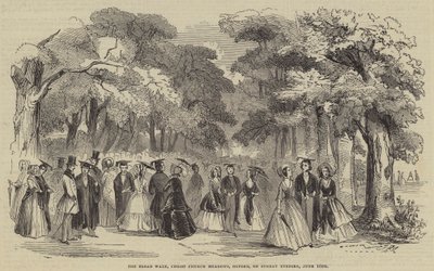 La grande allée, Christ Church Meadows, Oxford, le dimanche soir - English School