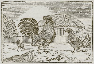 Le coq et le joyau (gravure) - English School