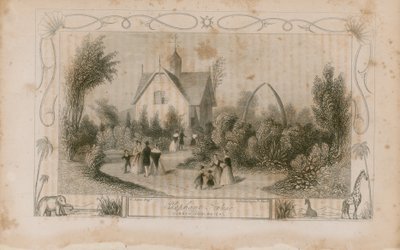 La maison des éléphants - English School