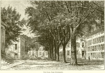 Les Ormes, Université de Yale - English School