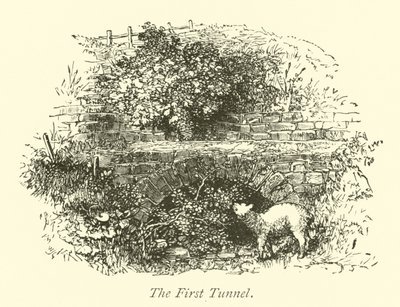 Le Premier Tunnel - English School