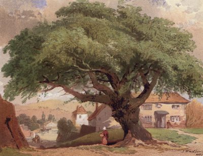 Le grand frêne, scène dans le Surrey - English School