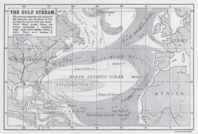 Le Gulf Stream - English School