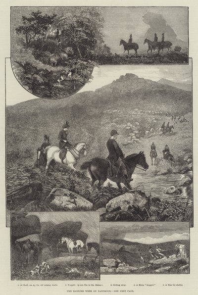 La semaine du Harrier à Dartmoor (gravure) - English School