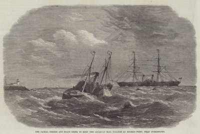 Le Jackal Tender et les bateaux allant à la rencontre du paquebot postal américain à Roche