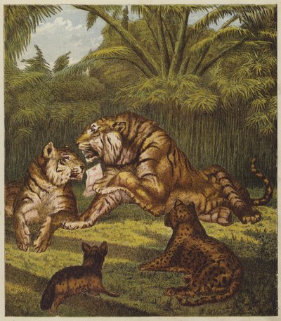 La Réception du Lion - English School