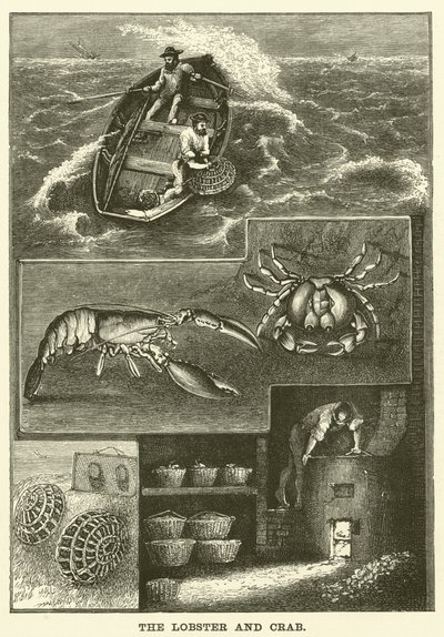 Le homard et le crabe - English School