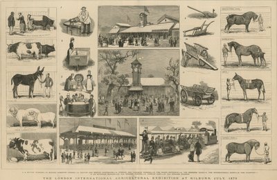 Exposition agricole internationale de Londres à Kilburn, juillet 1879 - English School