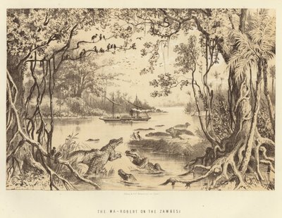 Le Ma-Robert sur le Zambèze - English School