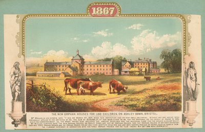 Les nouvelles maisons d