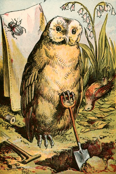 Le Hibou, le Scarabée et le Rouge-gorge - English School