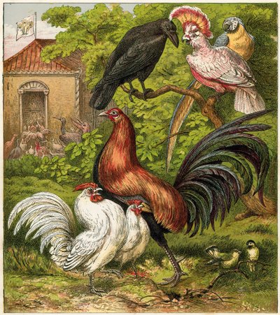 Le paon à la maison - English School