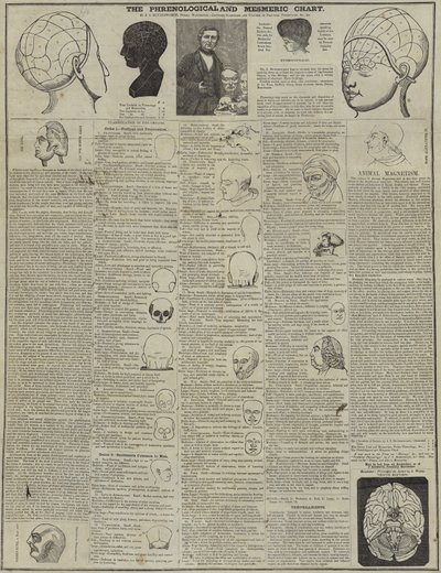 Le tableau phrénologique et mesmérique - English School