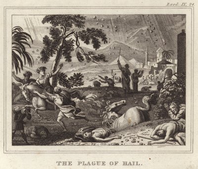 La Plaie de la grêle - English School