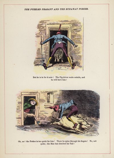 Le paysan perplexe et le cochon en fuite - English School