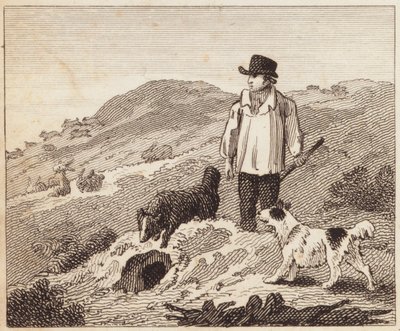 Le Terrier de Lapins (gravure) - English School