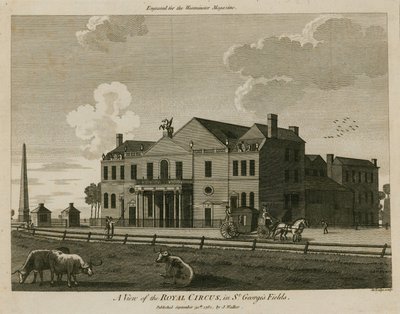 Le Cirque Royal à St Georges Fields, Surrey, près de l