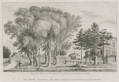 Les Sept Sœurs et Page Green, Tottenham High-Cross, Londres - English School